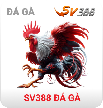 đá gà mm88